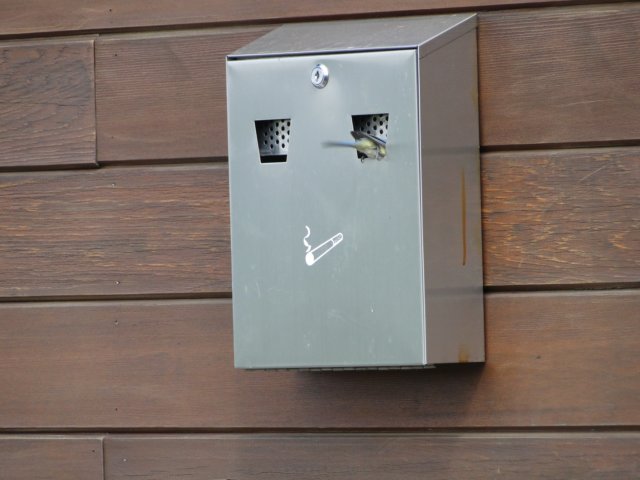 2014HWK 041.jpg